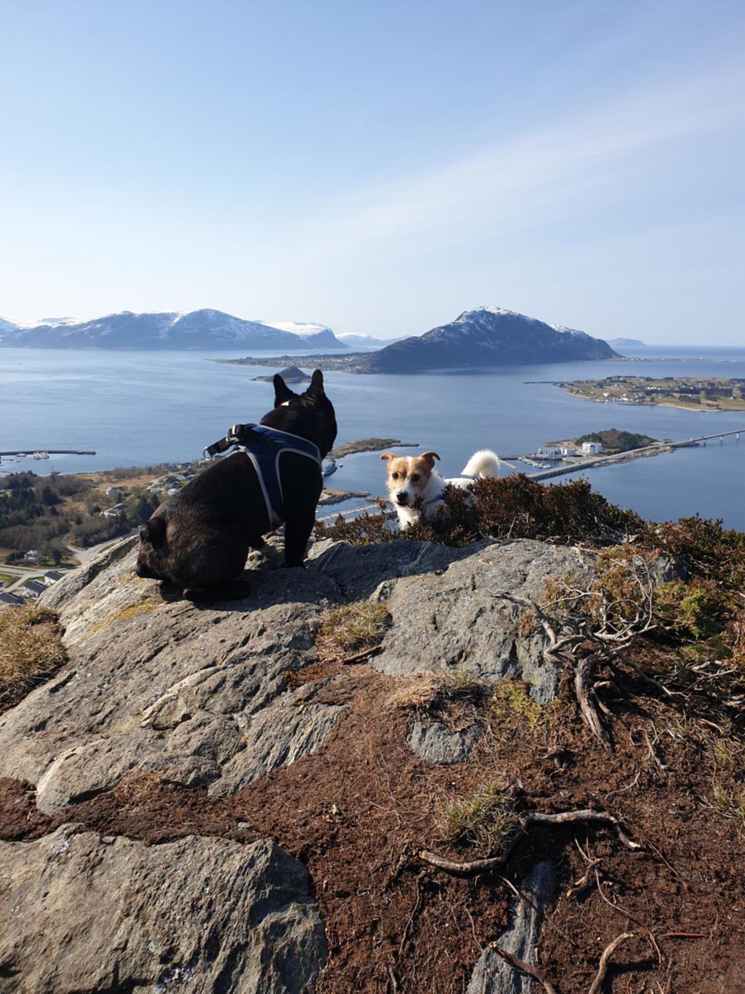 Leilighet Naer Flyplass Og Alesund Sentrum Ytterland Exterior foto